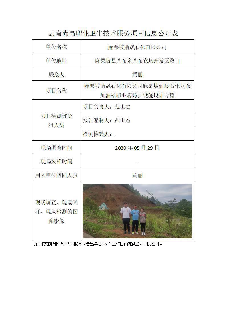 職業(yè)衛(wèi)生網(wǎng)上公開業(yè)績表模版-八布-2022.09.20專篇_01.jpg