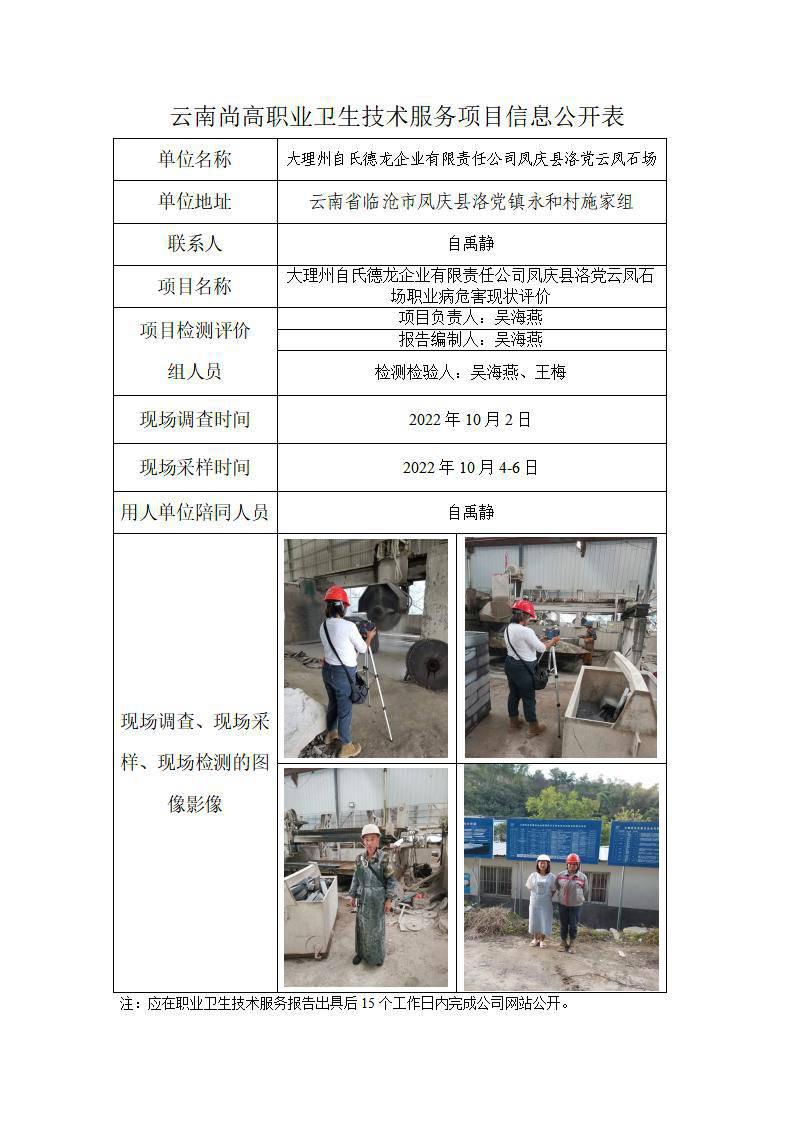 大理州自氏德龍企業(yè)有限責(zé)任公司鳳慶縣洛黨云鳳石場職業(yè)衛(wèi)生網(wǎng)上公開業(yè)績表_01.jpg