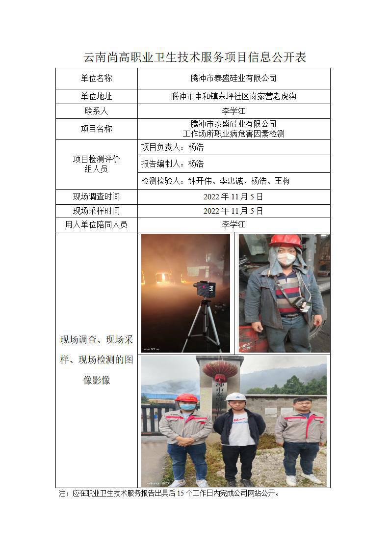 騰沖市泰盛硅業(yè)有限公司公開業(yè)績表_01.jpg