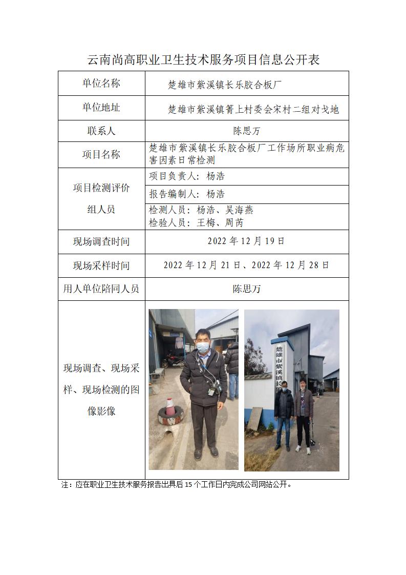 楚雄市紫溪鎮(zhèn)長樂膠合板廠職業(yè)衛(wèi)生網(wǎng)上公開業(yè)績表_01.jpg