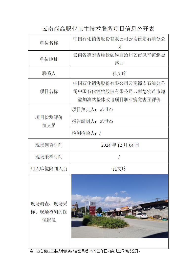 職業(yè)衛(wèi)生網(wǎng)上公開(kāi)業(yè)績(jī)表模版-潞盈加油站-2024.12.30_01.jpg